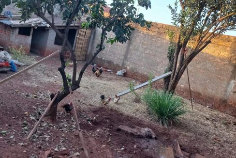 65b76865-5526-4e75-9a34-be766995480f