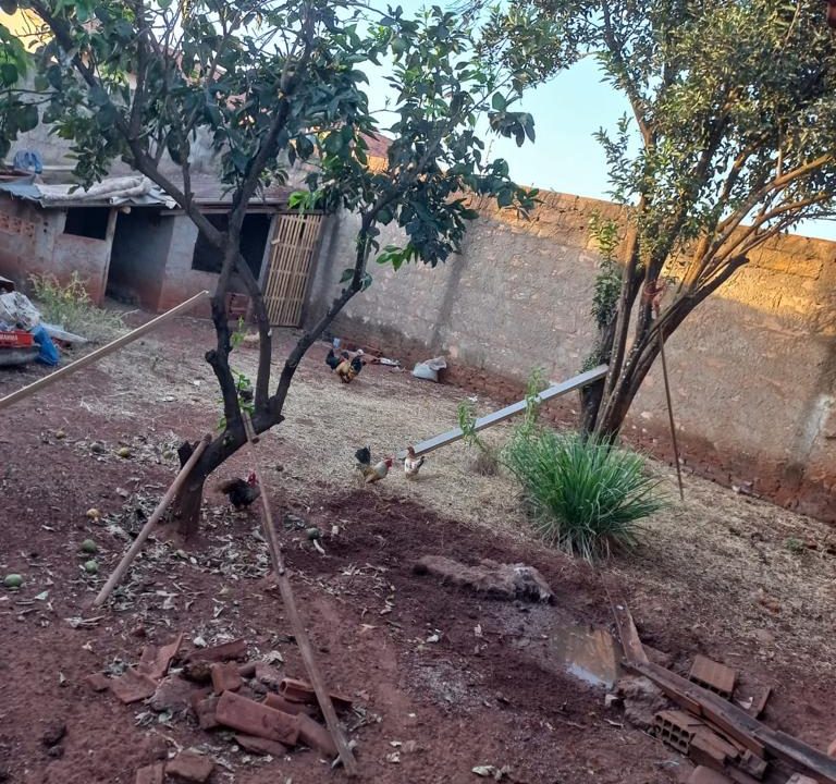 65b76865-5526-4e75-9a34-be766995480f