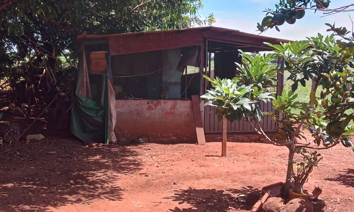 45f8f7dd-5a42-4746-b5de-2267d4a1ff42