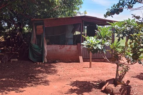 45f8f7dd-5a42-4746-b5de-2267d4a1ff42