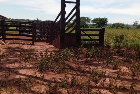 488758de-2551-48c4-84a7-edf42776e529