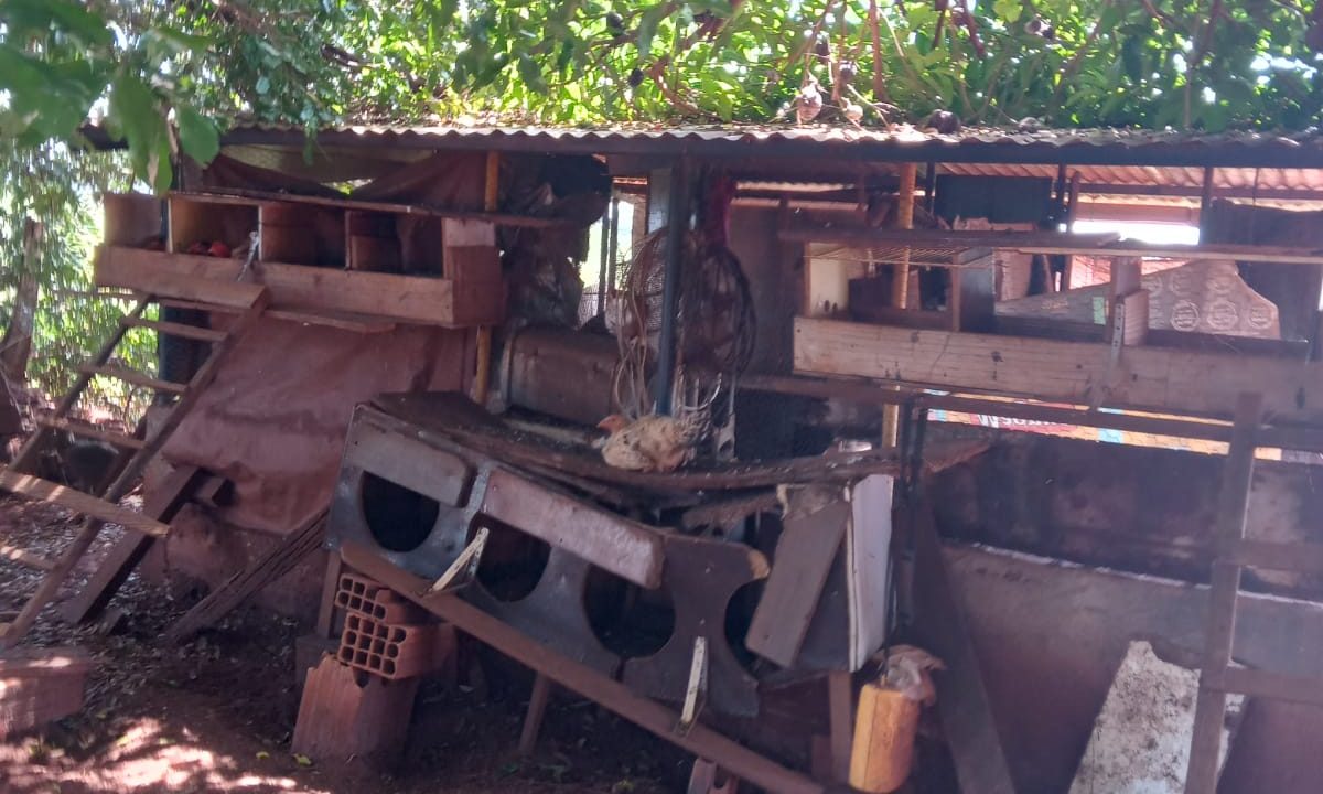 5c12381e-4573-46f2-ae3e-4ac8bc2b0f76