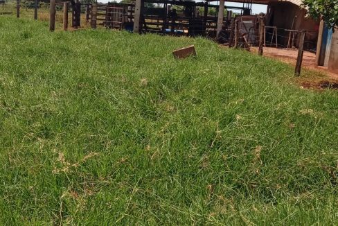 67b47f35-71bf-4335-aaff-459b283ce749