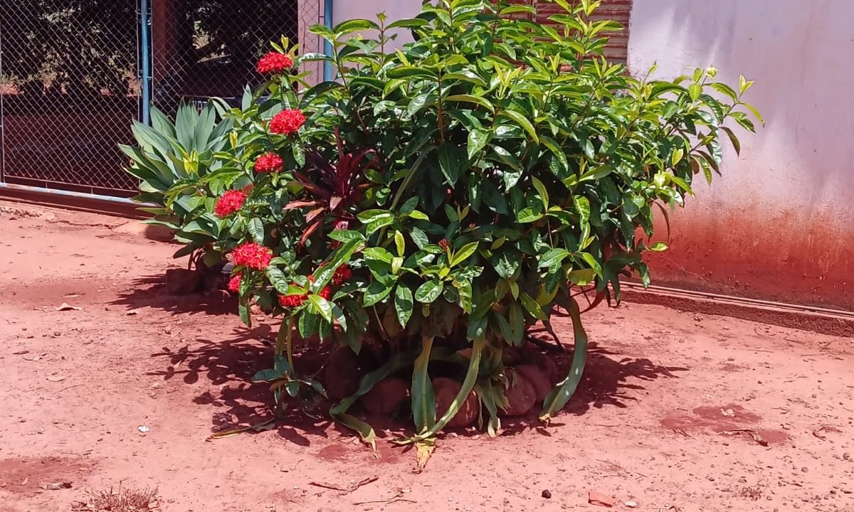 b9010717-a2b0-4abd-9415-4c0c11c37ce8