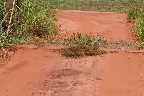 bc12501b-389a-4d20-9043-49a2030db990