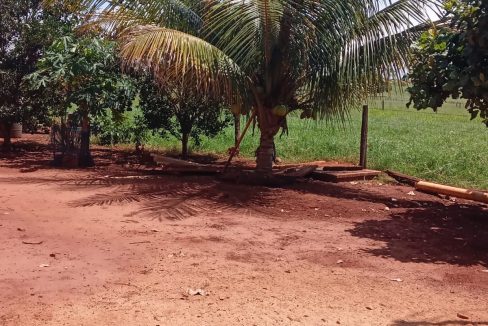 cf9792b0-0a2d-426f-940a-20b70f3ae051