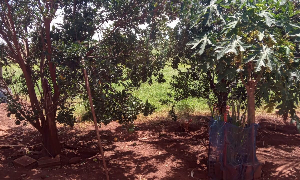 d889fcc0-cbae-4f9b-84ac-a3af8f9e90b9