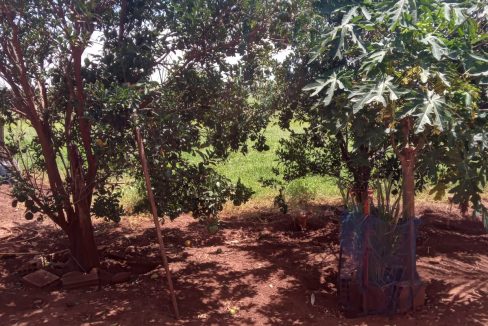 d889fcc0-cbae-4f9b-84ac-a3af8f9e90b9