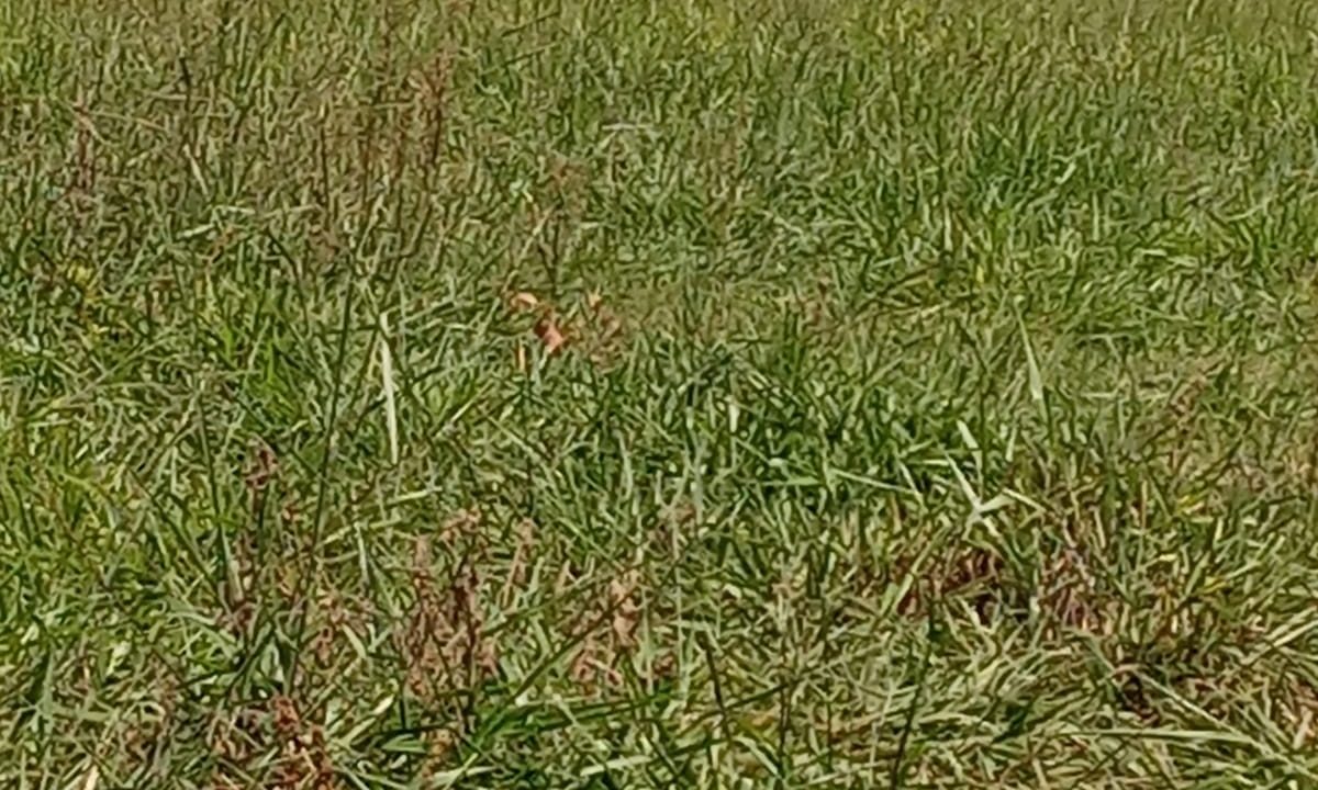 e7601156-eb5f-433b-b1e7-45fd97cea23f