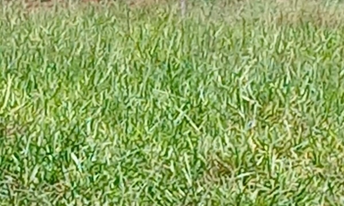 f368d772-eb97-46df-9c71-6c3207fef617